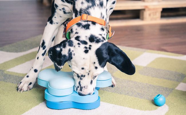 kreuter_0254_web_500x750