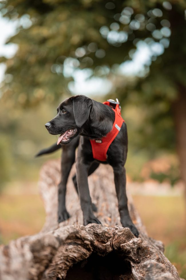 a20535ef-e04c-485f-abe9-db843c077d16